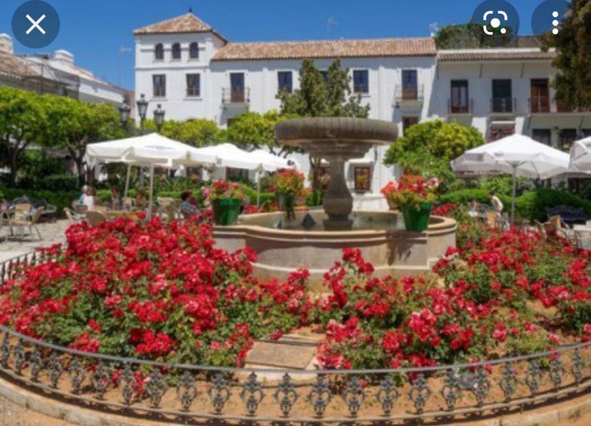 Hébergement de vacances Casa Delfina *